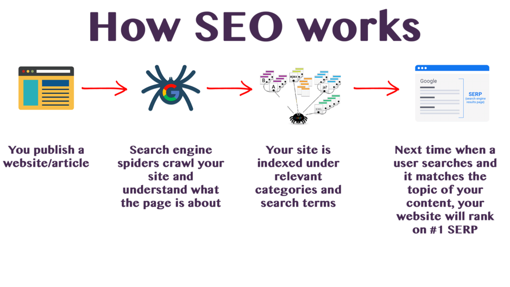 how does SEO work-digital click